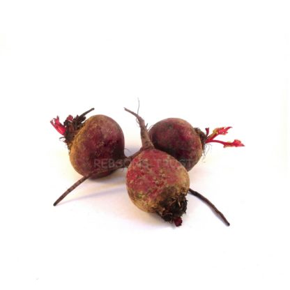 Beetroot