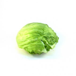 Iceburg Lettuce