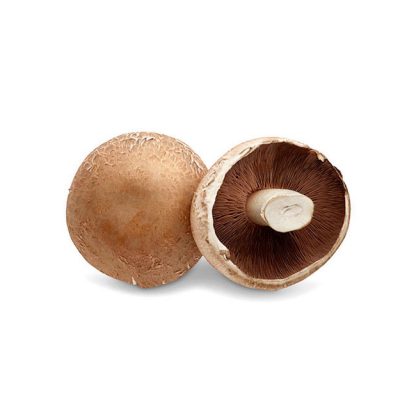 Portabello Mushroom