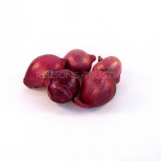 Red Onions